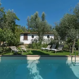 Galli Calenzano